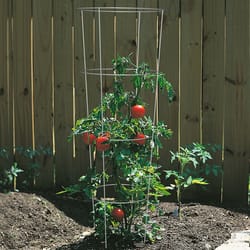 Panacea 54 in. H X 16 in. W X 16 in. D Gray Steel Tomato Cage