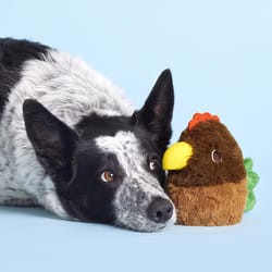 Bark Hen Rubber Dog Toy 1 pk