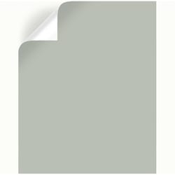 Magnolia Home by Joanna Gaines  Americana Egg  Peel & Stick Color Sample  #JG-06 