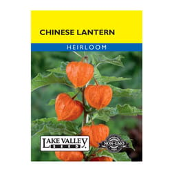 Lake Valley Seed Flower Seeds