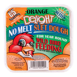 C&S Products Orange Delight Assorted Species Beef Suet Wild Bird Food 11.75 oz