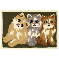 Jellybean 20 in. W X 30 in. L Multi-Color Tres Amigos Polyester Accent Rug