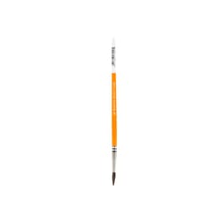 Wooster Ponted Artist Paint Brush
