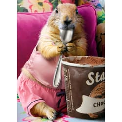 Avanti Press Seasonal Prairie Dog Eats Ice Cream Valentine's Day Card Paper 2 pc