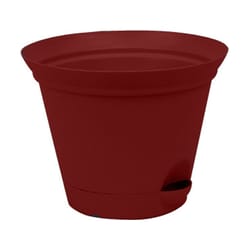 Misco QuickView 10.71 in. H X 13.8 in. D Plastic Planter Salsa