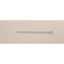 Maze Nails 8D 2-1/2 in. Trim Stainless Steel Nail Flat Head 1 lb
