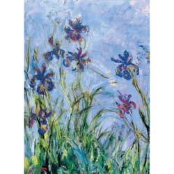 Eurographics Irises (Detail) Jigsaw Puzzle Multicolored 1000 pc