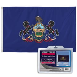 Valley Forge Pennsylvania State Flag 36 in. H X 60 in. W