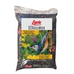 Lyric  Assorted Species  Wild Bird Food  Black Oil Sunflower Seed  10 lb. 