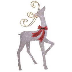 Celebrations LED Warm White Reindeer 61 in. Yard Decor