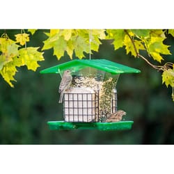 Stokes Select Belle Fleur Wild Bird 4.25 lb Metal/Plastic Hopper Feeder with Suet Cages 2 ports