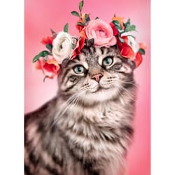 Avanti Press Seasonal Flower Crown Cat Valentine's Day Card Paper 2 pc