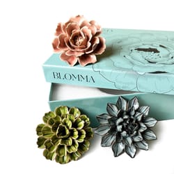 Chive Ceramic Flowers 2.9 in. H X 9.9 in. L Glazed Assorted Ceramic Blomma Box Set
