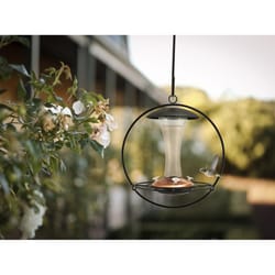 Panacea Hummingbird 16 oz Glass/Metal Floating Sphere Nectar Feeder 4 ports