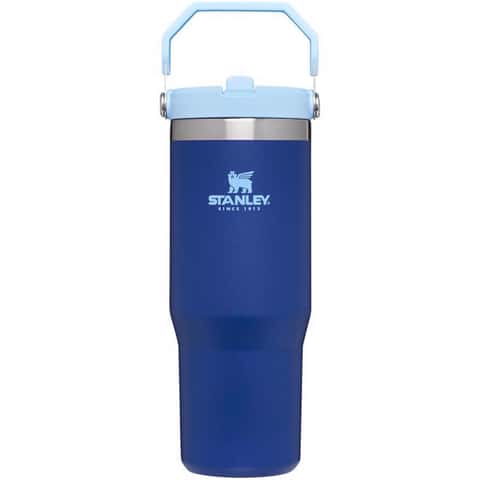 Stanley The IceFlow 30 oz Double-wall vacuum insulation Lapis BPA Free  Insulated Straw Tumbler - Ace Hardware