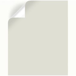 Magnolia Home by Joanna Gaines  One Horn White  Peel & Stick Color Sample  MAG004 