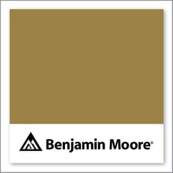 Benjamin Moore Brazen 259
