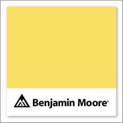 Benjamin Moore Delightful Yellow 335