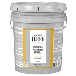 Evolve Terra Eggshell White Interior Latex Wall Paint Interior 5 gal