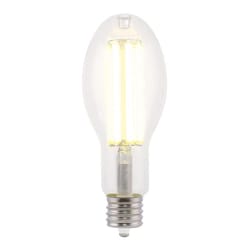 Westinghouse ED28 EX39 (Mogul) Filament LED Bulb Daylight 250 Watt Equivalence 1 pk