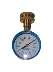 Brady 2 in. Brass Pressure Gauge 100 psi