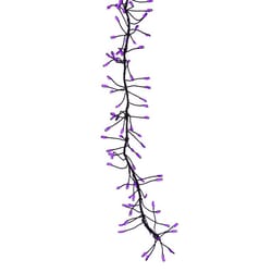 Celebrations Purple 250 ct 3 in. LED Prelit Connectable Big Seed Cluster Halloween Lights