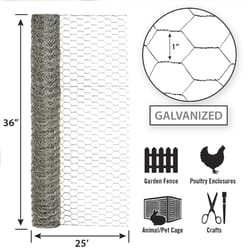 Garden Craft 36 in. H X 25 ft. L Galvanized Steel Poultry Netting 1 in.