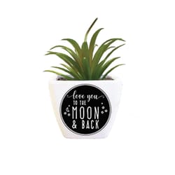 Sentiment Succulents 4 in. H X 2.25 in. L Multicolored Plastic Planter