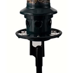 Brome Bird Care Squirrel Buster 11 in. H X 3 in. W X 9 in. D Bird Feeder Mounting Bracket