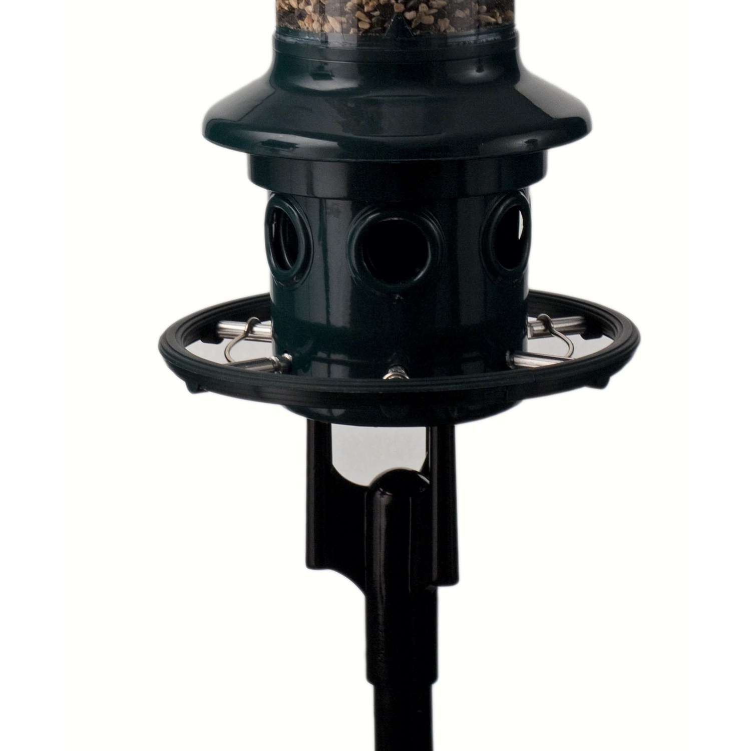 Brome Bird Care Squirrel Buster 11 in. H X 3 in. W X 9 in. D Bird