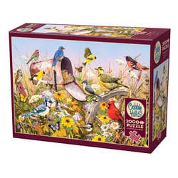 Cobble Hill Field Song Jigsaw Puzzle Cardboard 2000 pc