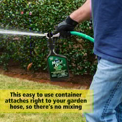Lilly Miller Hose 'n Go Moss Out Moss Control Concentrate 32 oz
