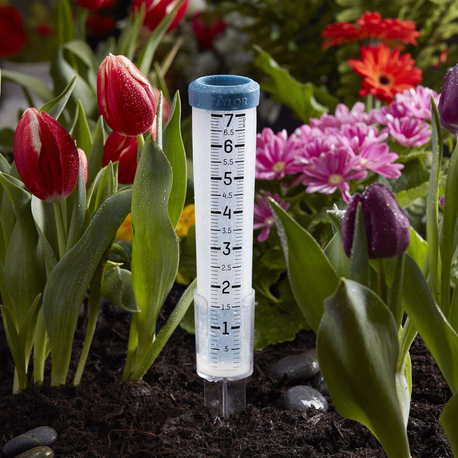 Springfield - 9.25 Indoor & Outdoor Double Thermometer