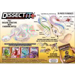 Top Secret Toys Dissect It Rattlesnake Super Lab Synthetic Dissection Kit Yellow