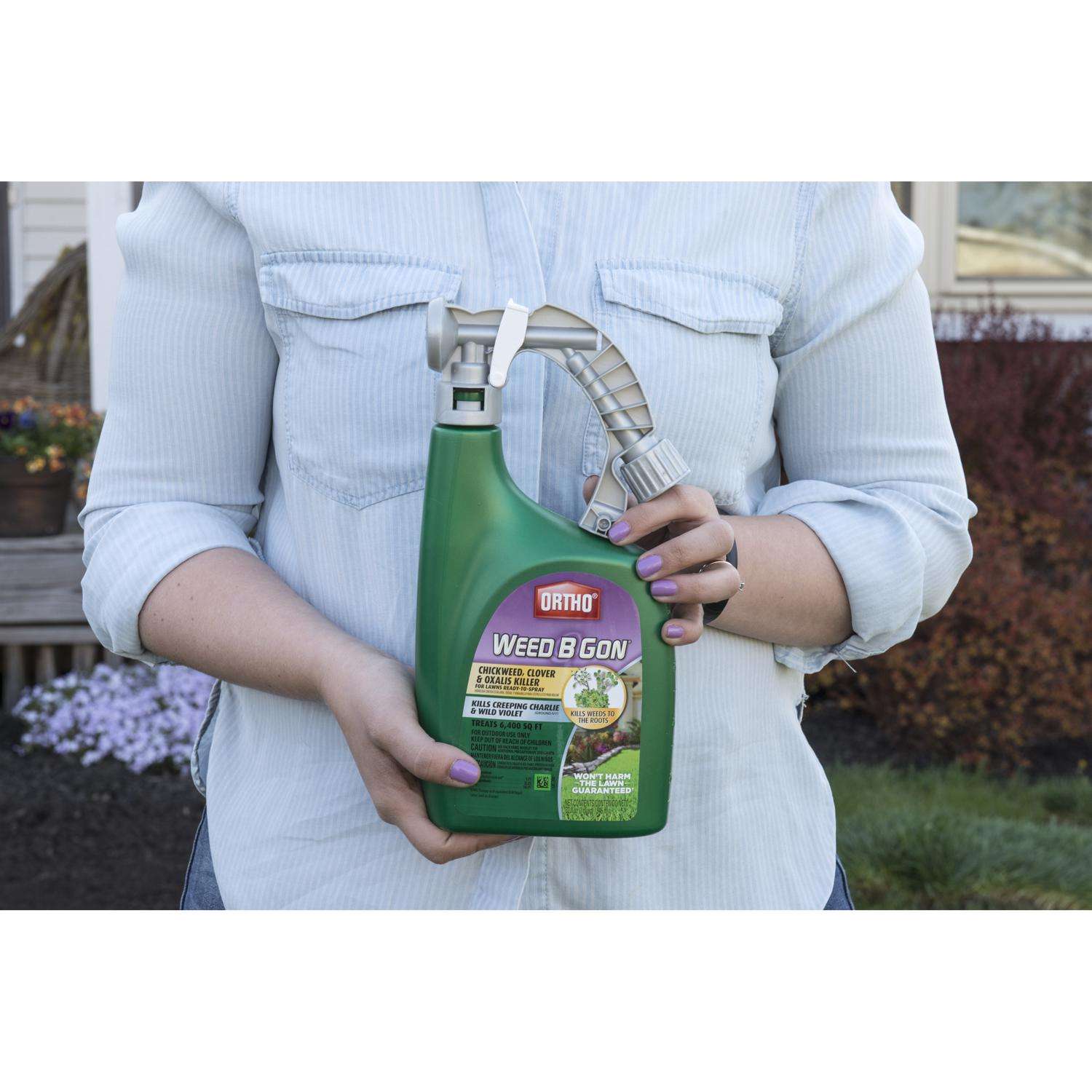 Ortho Weed B Gon Chickweed Killer RTS Hose-End Concentrate 32 ...