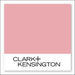 Clark+Kensington Raspberry Macaroon 06C-3