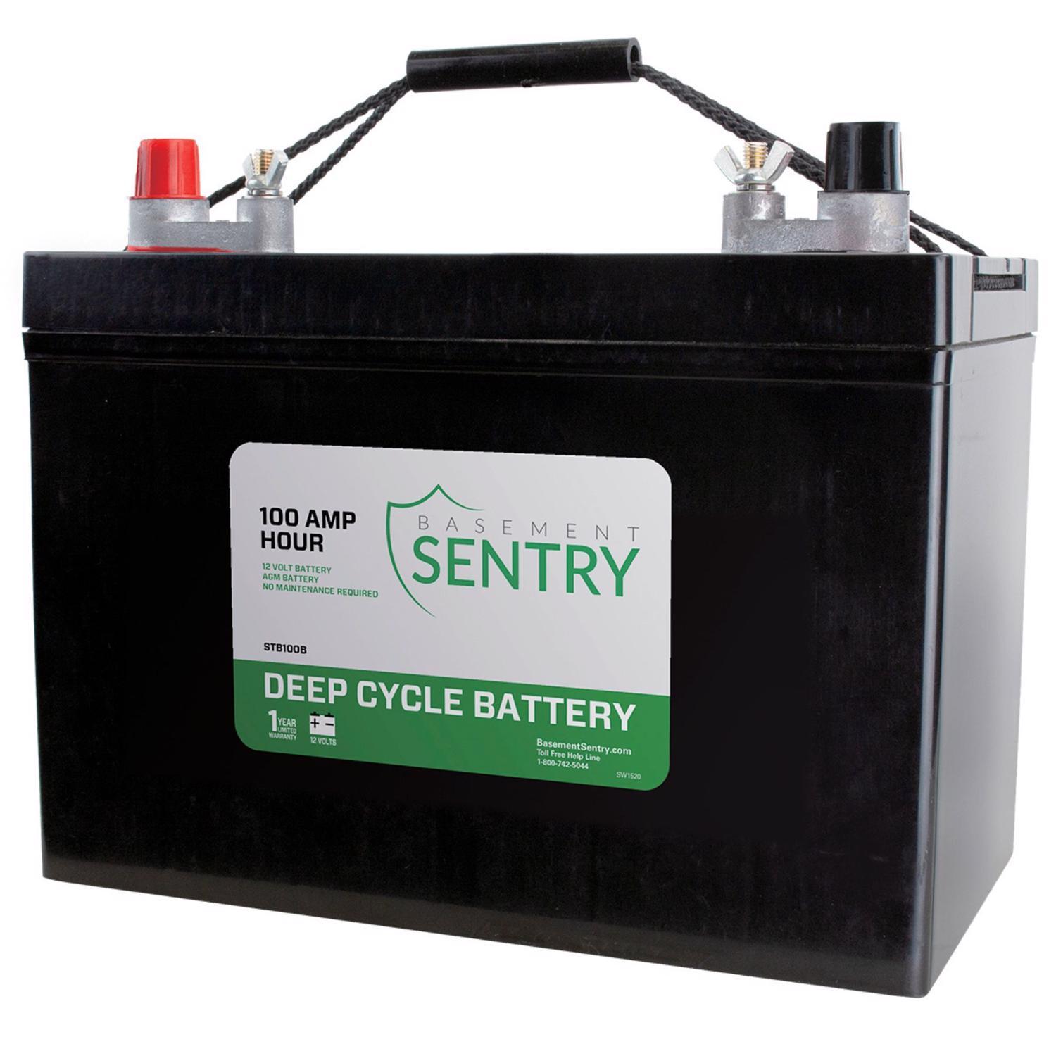 Zoeller Deep Cycle Battery Ace Hardware