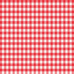 Magic Cover Red/White Checkered Vinyl Disposable Tablecloth 54 in. 54 in.