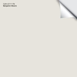 Benjamin Moore Calm Peel & Stick Color Sample OC-22