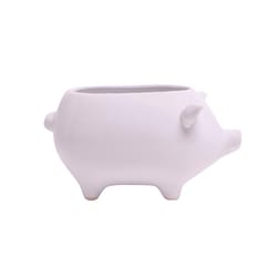 Chive Animal Planter 3.5 in. D Ceramic Pig Cachepot White