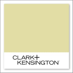 Clark+Kensington Best Bet 25C-4