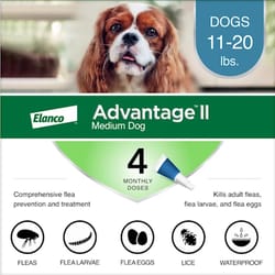 Bayer Advantage II Liquid Dog Flea Drops Imidacloprid/Pyriproxyfen 0.14 oz