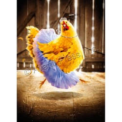Avanti Chicken Bellerina Birthday Card Paper 2 pc