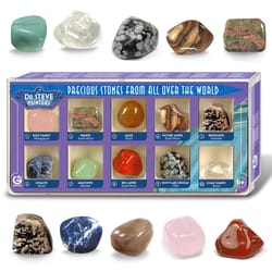 Geoworld Dr. Steve Hunters All Over The World Precious Stones Assorted 10 pc