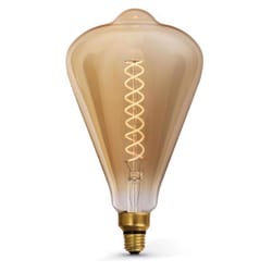 Feit ST52 E26 (Medium) LED Bulb Amber 60 Watt Equivalence 1 pk