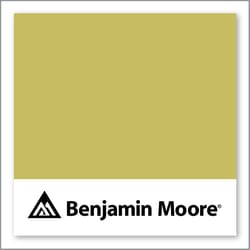 Benjamin Moore Sweet Vibrations 391