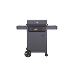 Ace hardware electric on sale grill