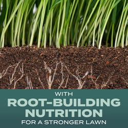 Scotts Turf Builder All Grasses Dense Shade Fertilizer/Seed/Soil Improver 5.6 lb