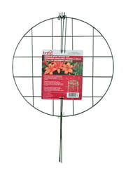 Garden Stakes & Plant Support at Ace Hardware