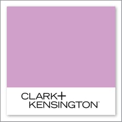 Clark+Kensington Satin Sash 01B-4